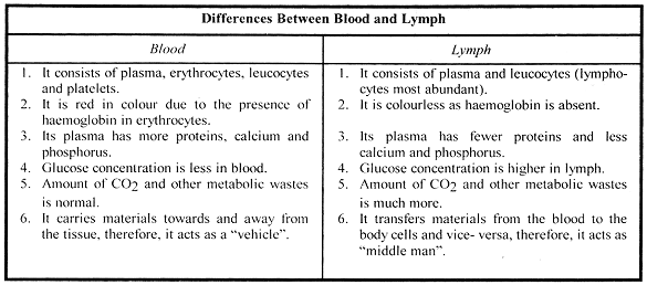 2337_difference between blood and lymph.png